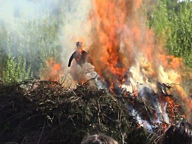 carnaval 2011 (153).jpg